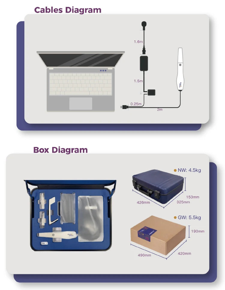 Panda Intraoral Scanner software workflow detail