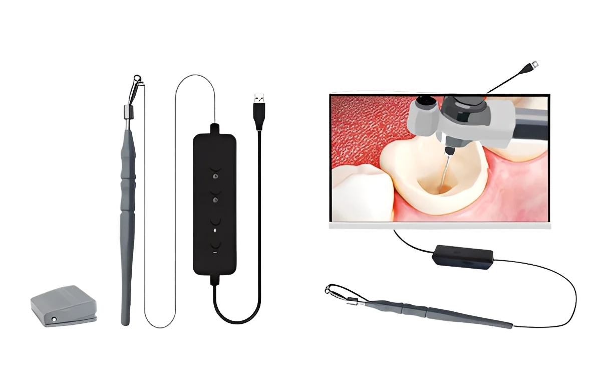 TJ-D06 intraoral camera product photo