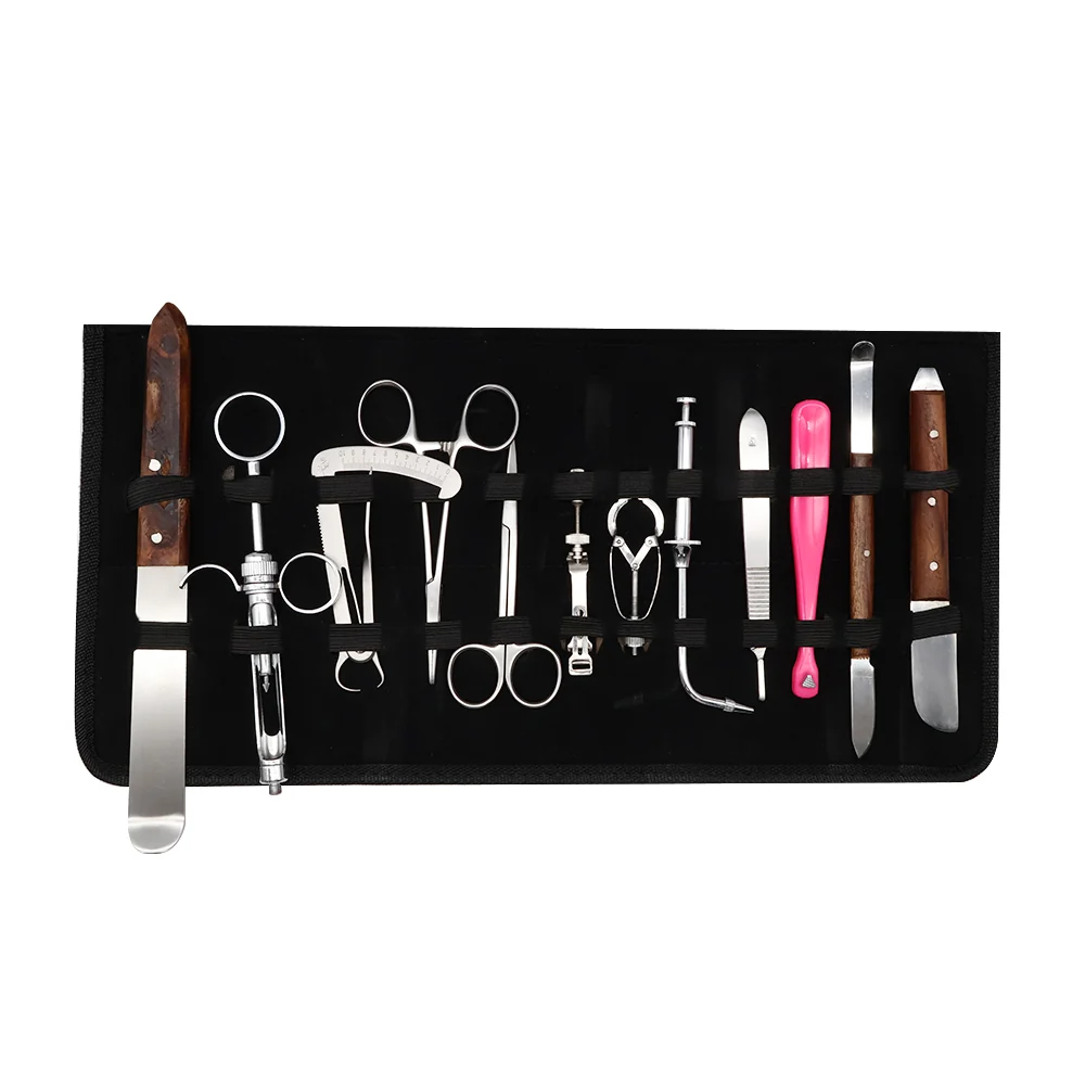 TJ-BN01_TJ-BN02_TJ-BN04 dental surgical instrument photo