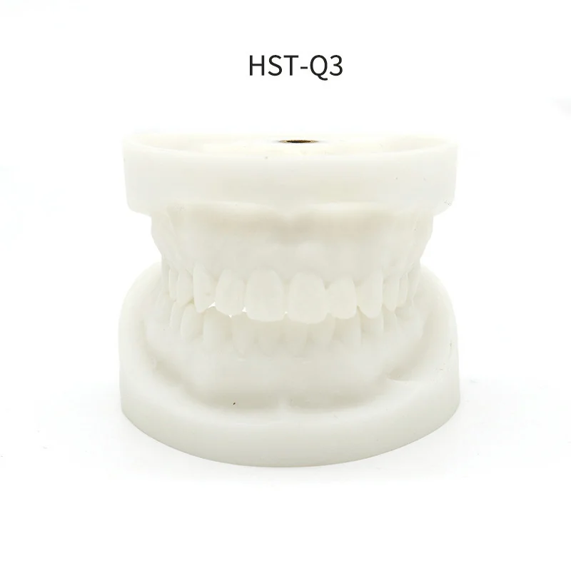 TJ-Q3 dental teaching model photo