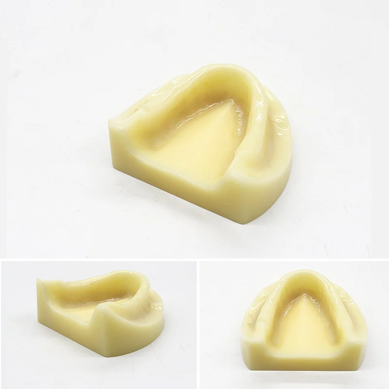 TJ-T1 dental teaching model photo